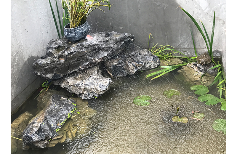 廠區(qū)一角
